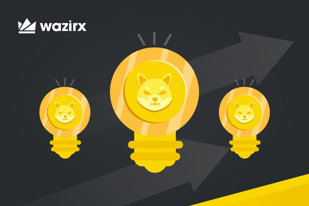 Shiba Inu coin investment