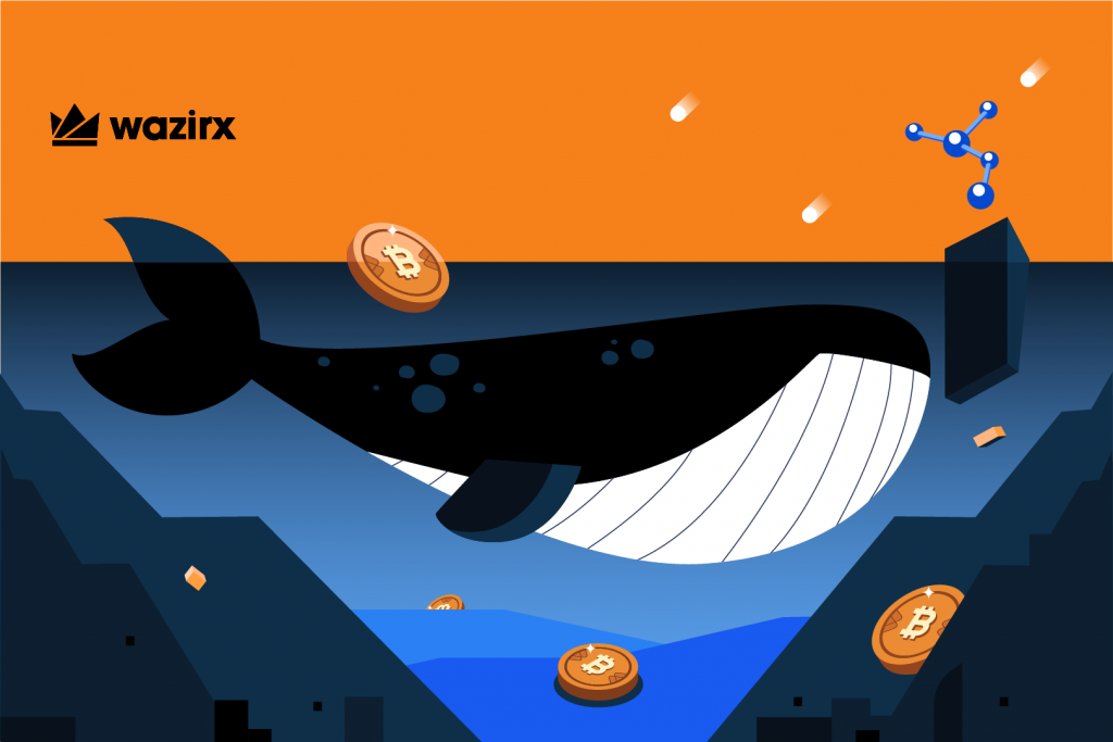 crypto whale